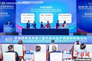 紫薇星斗中非新增10对友好城市 国际“朋友圈”助推务实合作
